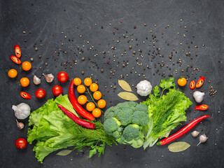 Multicolored bright vegetables and spices on a dark gray background. The concept of proper...