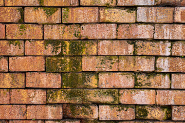 Vintage brick wall with moss and salt on the surface and between the cracks. Vector bricks background texture