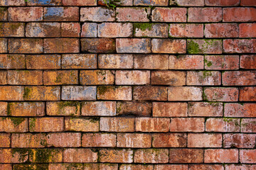 Vintage clay brick wall with cracks, scum, moss and salt oozing from wet brick gaps