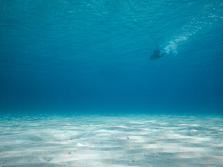Fototapeta na wymiar person swimming in the blue, sandy bottom below