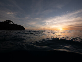 Fototapeta na wymiar sunset over caribbean ocean with tree silhouette