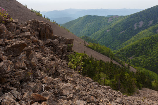 The nature of the Far East. A steep rocky ascent to Mount Lysaya in the Primorsky region. Natural kurumnik on a high mountain.