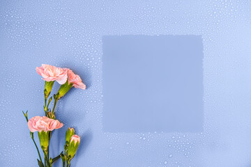 Elegant, romantic, fresh mockup with border on pastel blue background with water drops and flowers, copy space