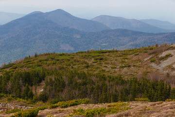 The nature of the Far East. The top of Mount Lysaya in the Primorsky region. A beautiful peak of a high mountain.