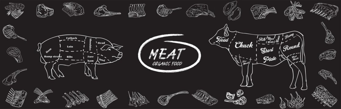 Fresh meat products collection. Sketch vector illustration. Hand drawn illustration. Pieces of meat design template. Design element for poster, menu, flyer, banner, menu, package.