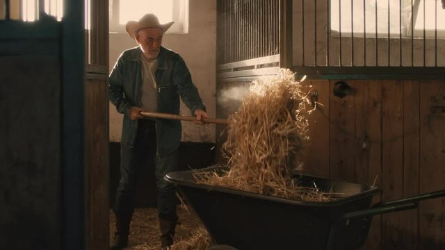 Aged farmer cleaning stall from hay