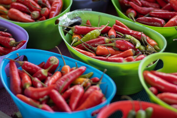 colorful peppers in baskets
