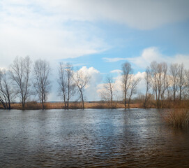 Coast of the spring river
