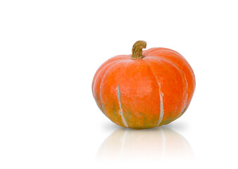 A real pumpkin isolated on a white background