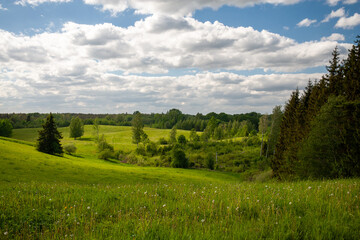 landscape with grass