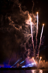 Colorful fireworks exploding in the night sky 