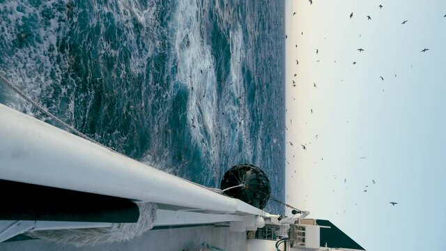 Vertical frame. Seagulls fly behind a fishing vessel during rough seas.