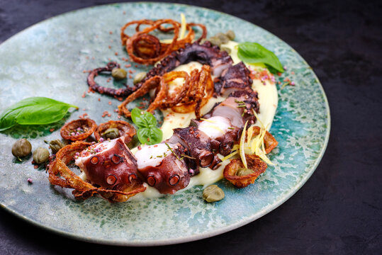 Modern style Italian polpo alla griglia su crema di patate with barbecued octopus, potato creme and fried chili onion rings as close-up on a Nordic design plate