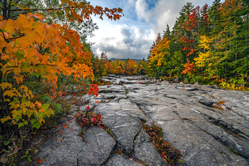 Autumn on the swift river, the gorge