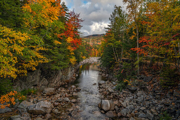 Autumn on the swift river, the gorge