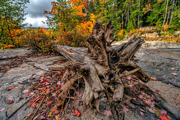 Autumn on the swift river, the gorge