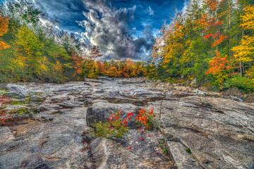 Autumn on the swift river, the gorge