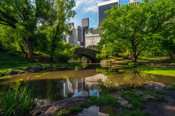 Gapstow Bridge in Central Park