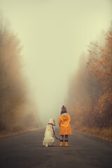 A little girl in a yellow jacket and a red hat with a big white dog walks along the road in the autumn forest.Fog. Rear view. Space for text. Free space.