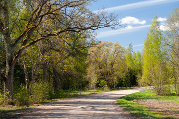 Obraz premium spring