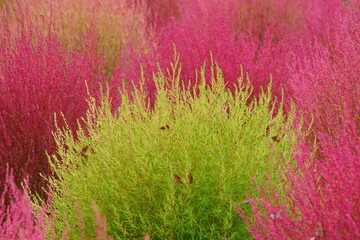  It feels like Autumn has arrived!