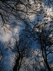 sky
