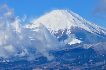 Fototapeta na wymiar 丹沢の大野山より　雲棚引く富士山