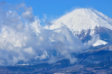 Fototapeta na wymiar 丹沢の大野山より　雲棚引く富士山