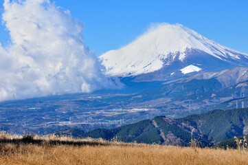 Fototapeta premium 丹沢山地の大野山より雲湧く富士山を望む