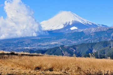 Fototapeta premium 丹沢山地の大野山より雲湧く富士山を望む