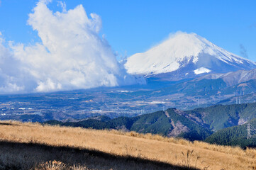 Fototapeta premium 丹沢山地の大野山より雲湧く富士山を望む