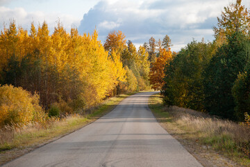 road in autumn