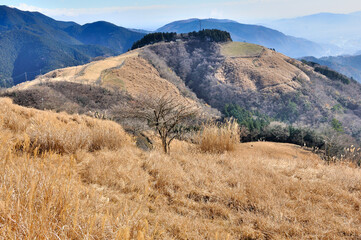 丹沢山地の大野山から隣の牧場