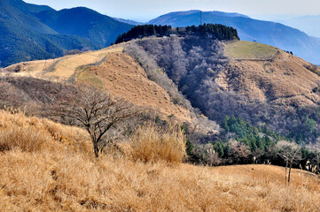 丹沢山地の大野山から隣の牧場