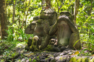 buddha statue in the jungle
