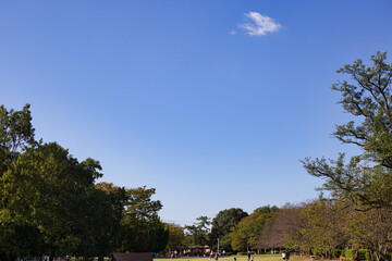 公園と青空