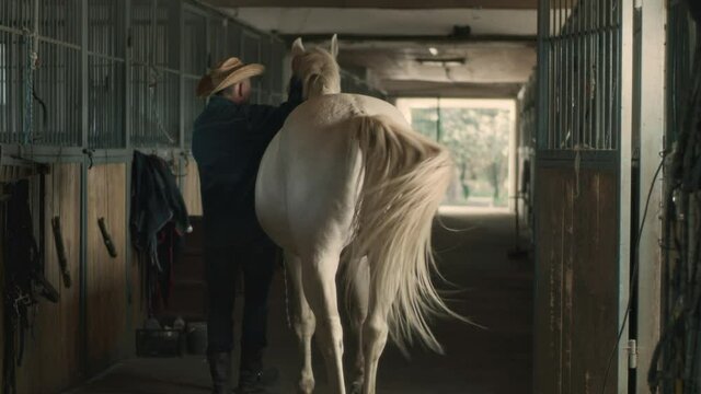 Senior man leading horse out of stable