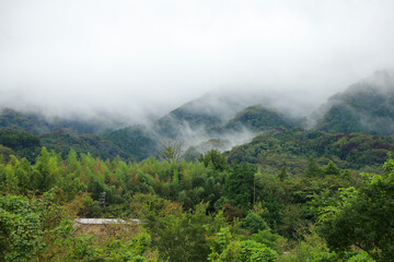 misty morning in the mountains