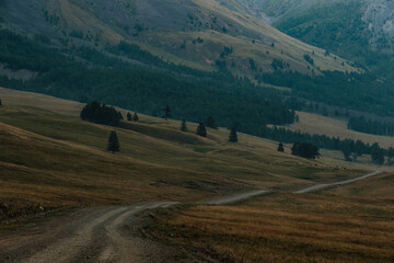 Fototapeta na wymiar The road from Kosh-Agach to Belyashi village in the Altai Republic