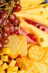 Platter with crunchy crackers and cheese, closeup