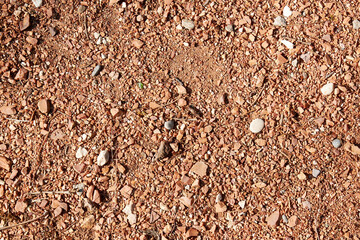 Red dirt ground texture with small pebbles. Abstract backgrounds