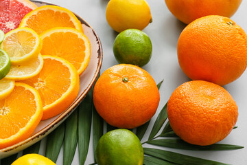 Plate of different citrus fruits and palm leaf on grey background, closeup