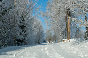 snow covered road