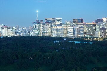 Naklejka premium Palace and Tokyo、東京、大手町、スカイツリー、皇居