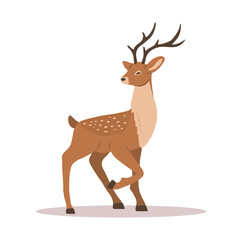 Obraz premium Elegant noble sika deer. Reindeer with antlers on white background. Ruminant mammal animal. Vector illustration in flat cartoon style.