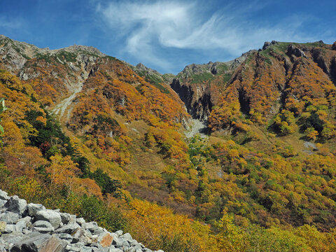 landscape in the autumn mountains