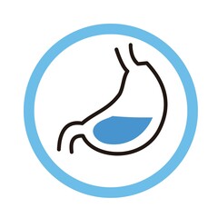 stomach human anatomy symbol vector design