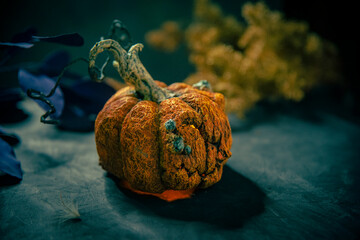Calabaza Jack o´Lantern de papel maché decoración halloween tierno misterioso  dulce o truco...