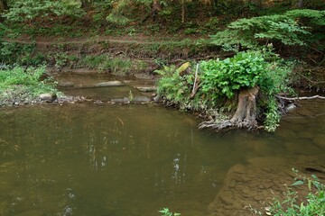 Pools on the river. Juhyne. Skalka. Moravia. Europe.