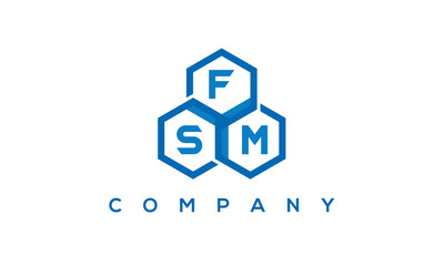 FSM three letters creative polygon hexagon logo